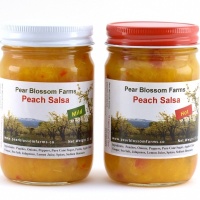 Assorted Peach Salsa – 2 Jars