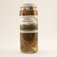 PBFR-01-PKL-GCS-R Pickled-Garlic-Scape-Single