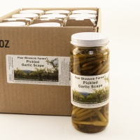 PBFR-12-PKL-GCS-R Pickled-Garlic-Scape-Case